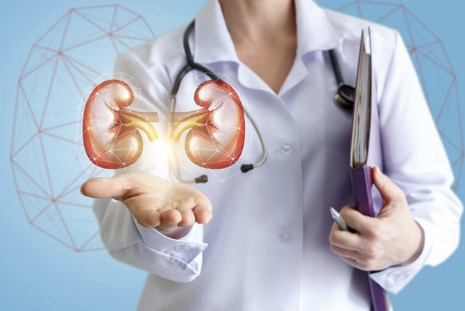 12 марта 2026 года – Всемирный день почки